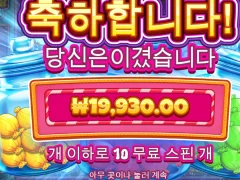 캔디자 크러스터 후기