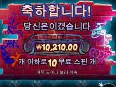 더빅도그즈 5만원 프리스핀 구매 후기