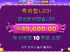 스위트 보난자 2배 후기