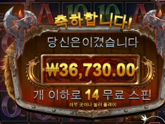 파워오브 토르 183배요