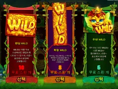 버징와일드 간단한 팁 후기
