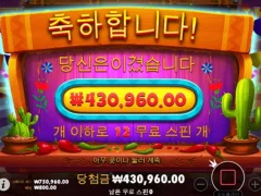 핫페퍼 ㅅㅅㅅㅅ