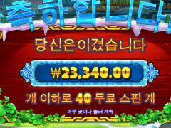 5프로즌참 이거 무료스핀 40개 먹었는데 겨우 본전만 먹었네요;;;;