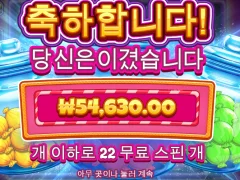 캔디자 그랜드 캔디 하나 남겨놓고 까비 ㅜㅜ