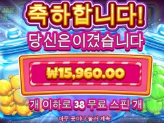 캔디자 프리스핀 38개 후기