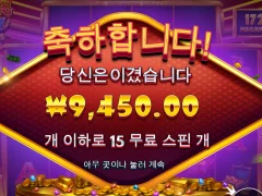 신규겜 블레이징와일드
