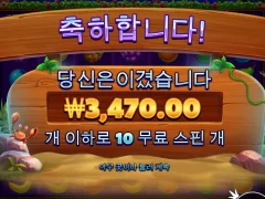 비치파티 ㅈ같다