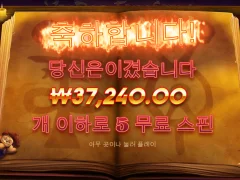 부두 매직 이건 뭐;;