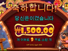도그하우스 멀티홀드 첫 후기...