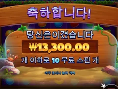 와일드비치파티 후기