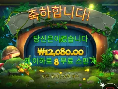 팟 오브 포춘 본전치기