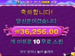스위트 보난자 다이스 진짜로