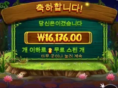 개구리 한판....