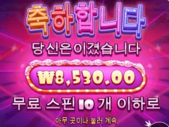 약속의 슈가