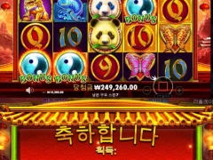 프라그마틱 고전명작 판다포춘 소확행