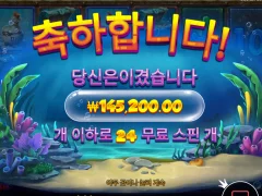 비웨어 더 딥 메가웨이 비싼 구매 후기욤