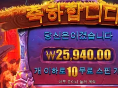 바이킹포지 프라그마틱 인증한ㄷ ㅏ