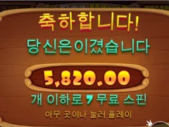 주말인데 도그메가로 재미못봄