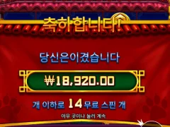 중국 간 푸바오를 떠올리며 프라그마틱 펫판다