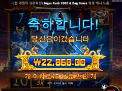 라이즈 오브 사무라이 비추