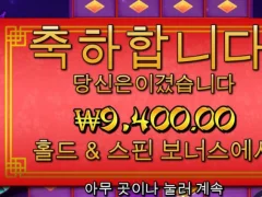 프라그마틱 플로팅드래곤 인증합니다.