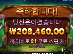 신규겜 릴리즈 더 바이슨 520배 후기