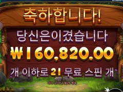 바이슨 400배 ㅅㅅㅅㅅ