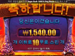 개같이 멸망 ㅋㅋㅋ