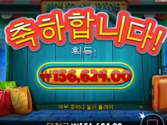 홀리데이라이더 260배 ㅅㅅㅅㅅ