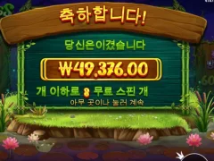 프라그마틱 프로그앤벅스 후기 올립니다.