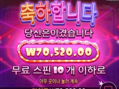 슈가러쉬1000 오링 ㅜㅜ
