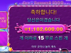 스위트보난자1000 3000배 ㅅㅅㅅㅅ