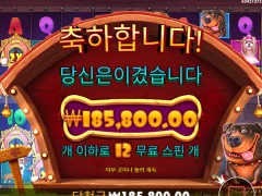 개집 멀티홀드 훌륭하다!
