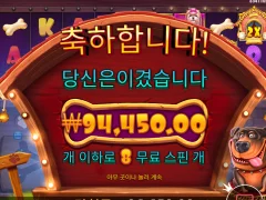 개집 멀티홀드 든든하네