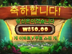 프라그마틱 스티키비즈로 나라잃은 썰 푼다