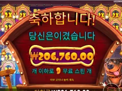 개집 멀티홀드 좋네요 344배 ㅅㅅㅅ