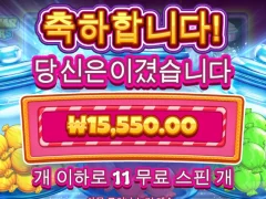 캔디자 인기 많은 이유가 뭔가요?