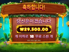 버징와일드 역시 걍 10판짜리로 가는게 맞는듯