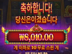 오링이다 클레오파트라 하지마세요