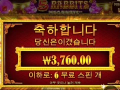 5래빗 개같이 주네