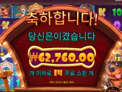 도그하우스 멀티홀드 개집 다열고 겨우 본전 휴..
