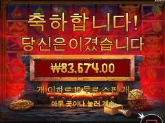 믿고하는 로키