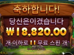 릴리즈 더 바이슨 ㅅㅂ