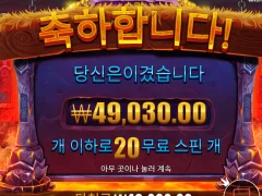 바이킹포지 245배 ㅅㅅㅅ