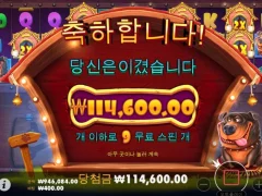 도그하우스 멀티홀드 오늘 멍멍이키우는사람 많네