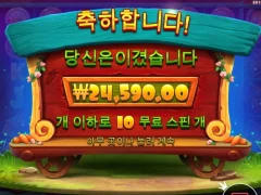 래빗가든 후기