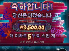 도그하우스 진짜 심하다