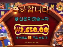 개집 멀티홀드 3칸 열었는데 이럴수가