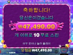 보난자 이정도면 어떤가요