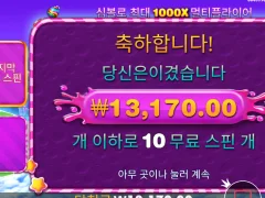 스위트 보난자 1000 30만원짜리 구매의 결말